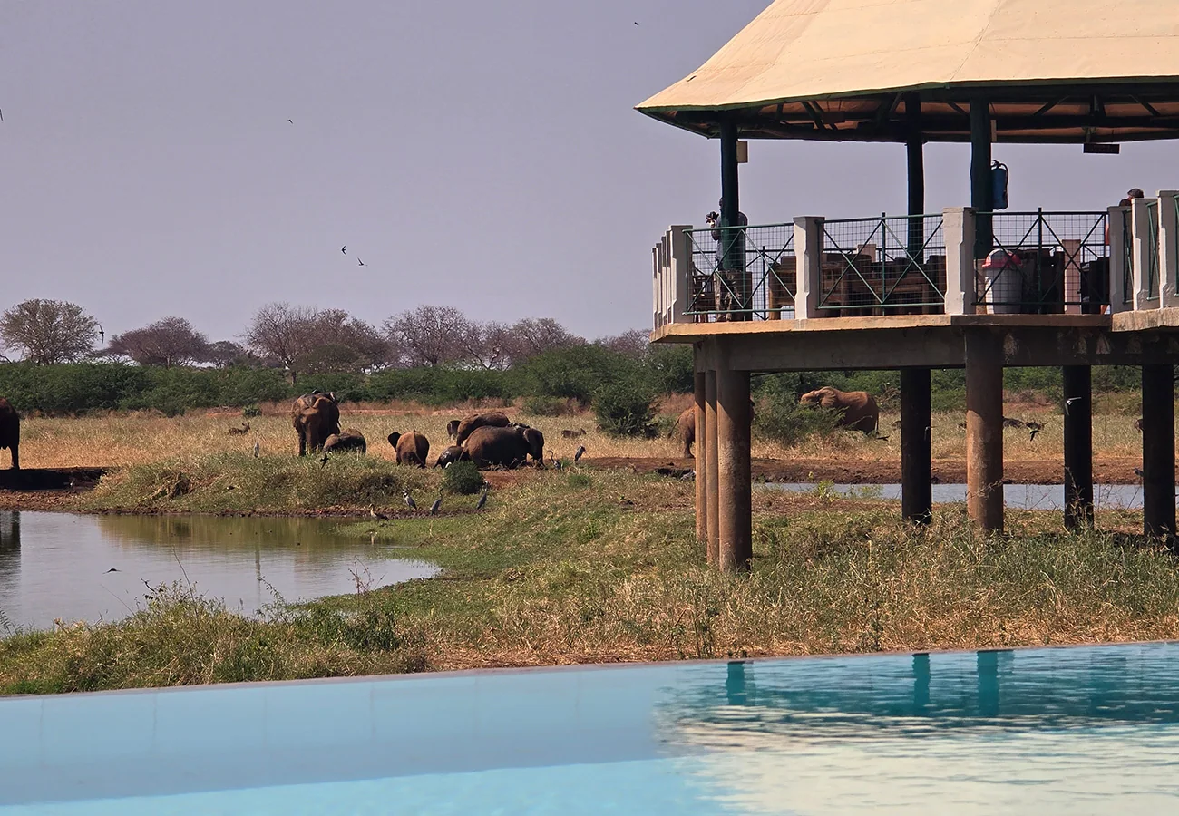 Voi Wildlife Lodge im Tsavo East, Ansicht 2